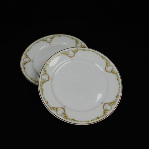 Rosenthal Other - Lot of 2 Rosenthal Briar Rose Bread Butter Plate 6 3/4" Fine China Vintage Roses